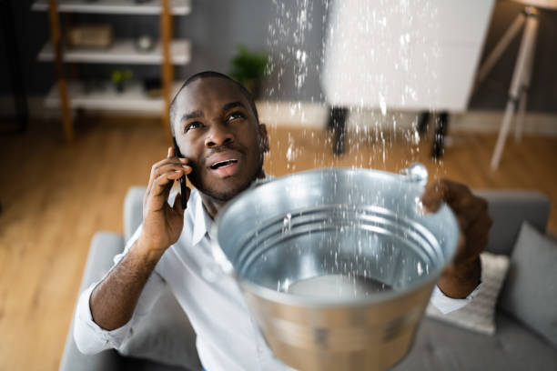 Best Flood damage cleanup  in Melville, NY