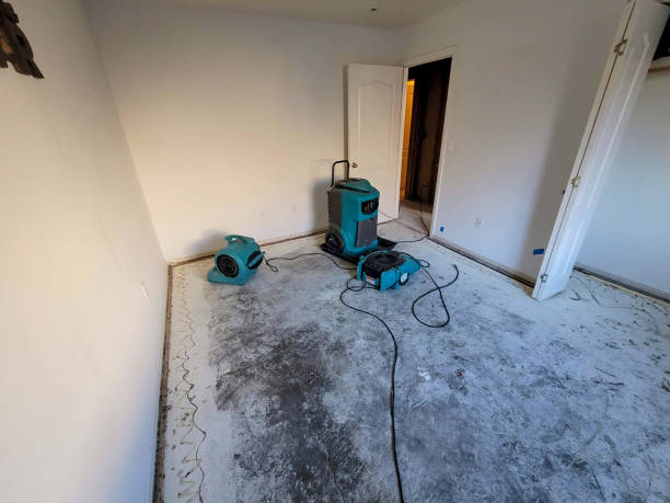 Best Basement water damage restoration  in Melville, NY