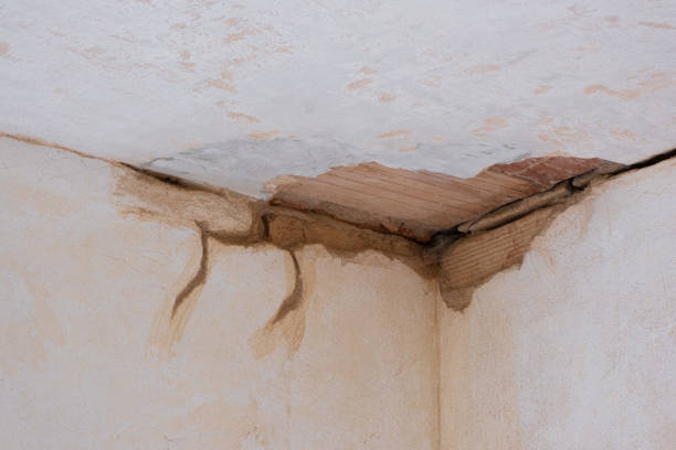 Best Flood restoration services  in Melville, NY
