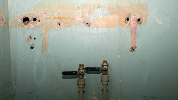 Best Water damage restoration experts  in Melville, NY