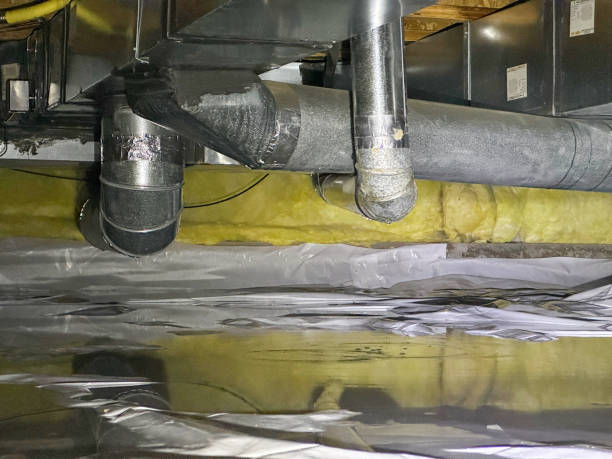 Best Water damage cleanup near me  in Melville, NY